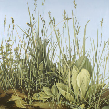 An even greater turf